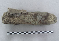 Fragment de bâton en briquetage présentant des traces de vitrification (fonte de la terre cuite par présence de coulures d'eau salée), découvert sur le site « les Crôleurs » à Moyenvic (Moselle), fouille Afan/Inrap 1999.