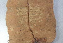 Tessons de cuvette à bord ourlé, utilisée pour l'évaporation de l'eau saumâtre sur les fourneaux, découverts sur le site « les Crôleurs » à Moyenvic (Moselle), fouille Afan/Inrap 1999.