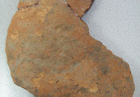 Tessons de cuvette à bord ourlé, utilisée pour l'évaporation de l'eau saumâtre sur les fourneaux, découverts sur le site « les Crôleurs » à Moyenvic (Moselle), fouille Afan/Inrap 1999.