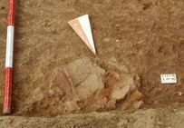 Fragments de céramiques. Fouilles d'Isola di Coltano, Pise (Italie), 1997-2002.