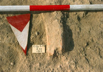 Fragment de pilier de fourneau mis au jour. Fouilles d'Isola di Coltano, Pise (Italie), 1997-2002.