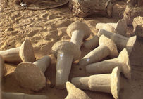 Au Niger, ces pains de sel sont obtenus par séchage du sel dans des moules.