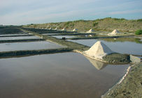 Marais après la récolte, le sel a été remonté sur les chemins. Les coubes (petits tas de sel) vont rester sur le marais pendant 24 h pour que le sel s'égoutte et que l'eau très salée retombe dans les bassins.