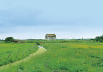 Vue d'un tertre de saline localement appelé « hogue » dans le marais estuarien de la Dives (Calvados). La saline était entourée d'un fossé ou « flet », décrit par des sources datées du XIe au XIVe siècle.